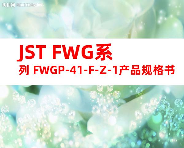 JST FWG系列 FWGP-41-F-Z-1产品规格书